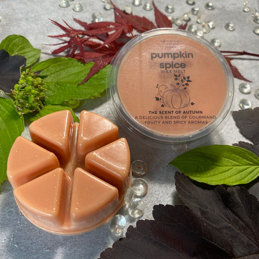 Pumpkin Spice Wax Melt