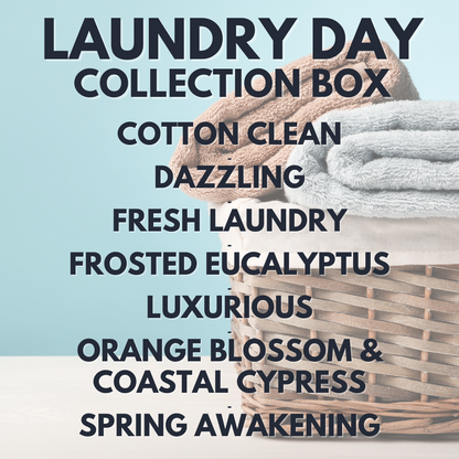 Laundry Day Collection Box