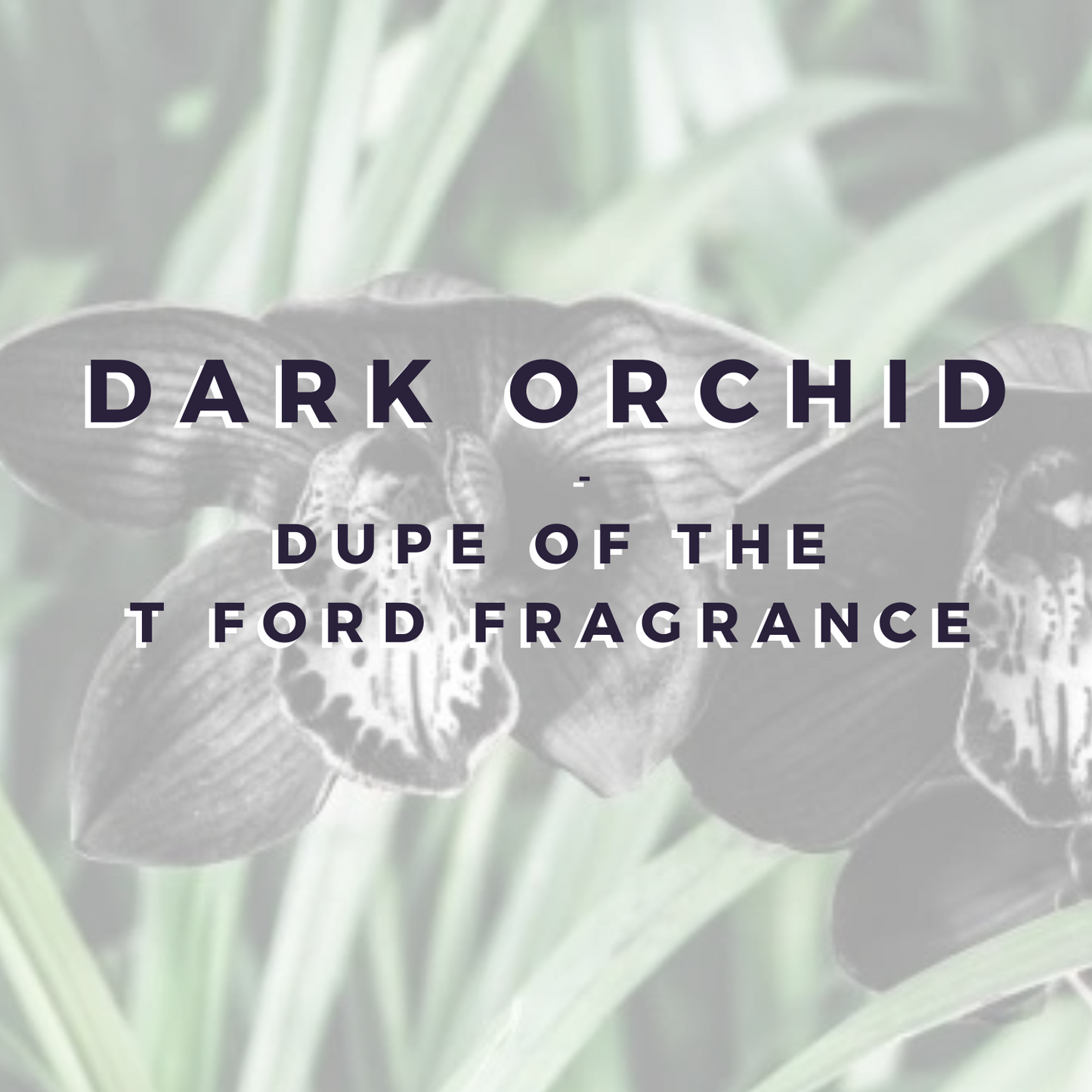 Dark Orchid Wax Bar (TF fragrance dupe) - WEB EXCLUSIVE