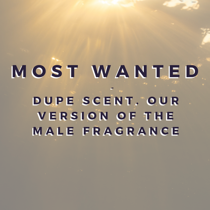 Most Wanted Wax Bar (fragrance dupe) - WEB EXCLUSIVE