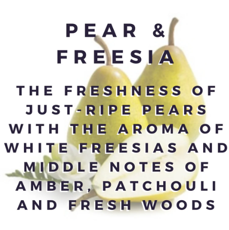 PEAR & FREESIA Hoover Discs